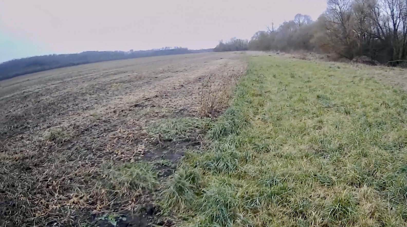 На территории водоохранной зоны реки Ока в границах деревни Тагино в Орловской области проведено выездное обследование