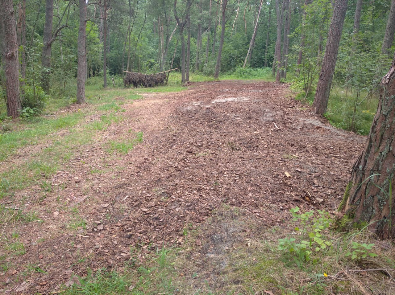 После предостережения Росприроднадзора нацпарк «Куршская коса» устранил пожароопасную ситуацию