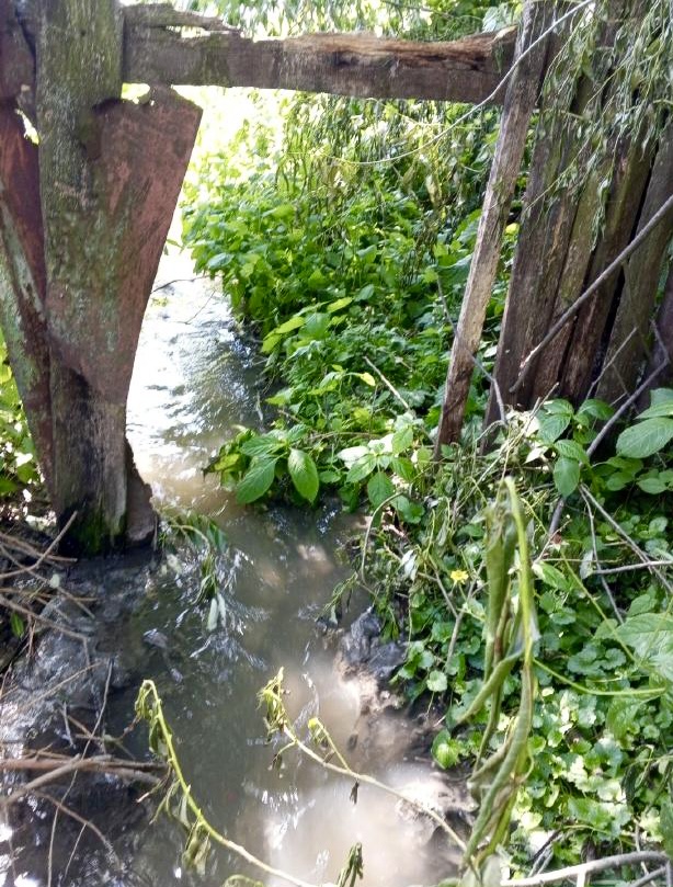 В результате выездного обследования участка местности вблизи домов 1 и 1А по ул. Горького в г. Плавск зафиксирован факт разлива сточных вод с попаданием в реку Локна