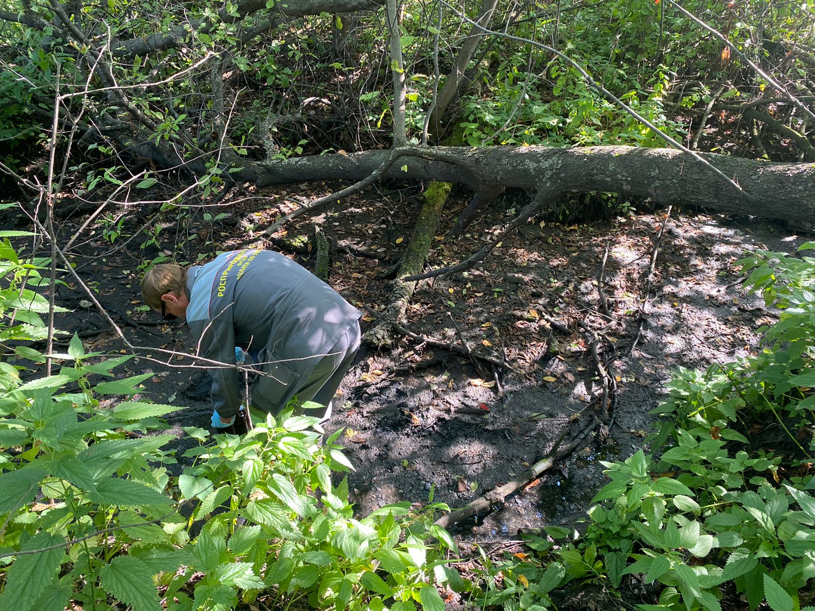 Инспекторы Росприроднадзора выявили факт сброса неочищенных сточных вод в реку Утку