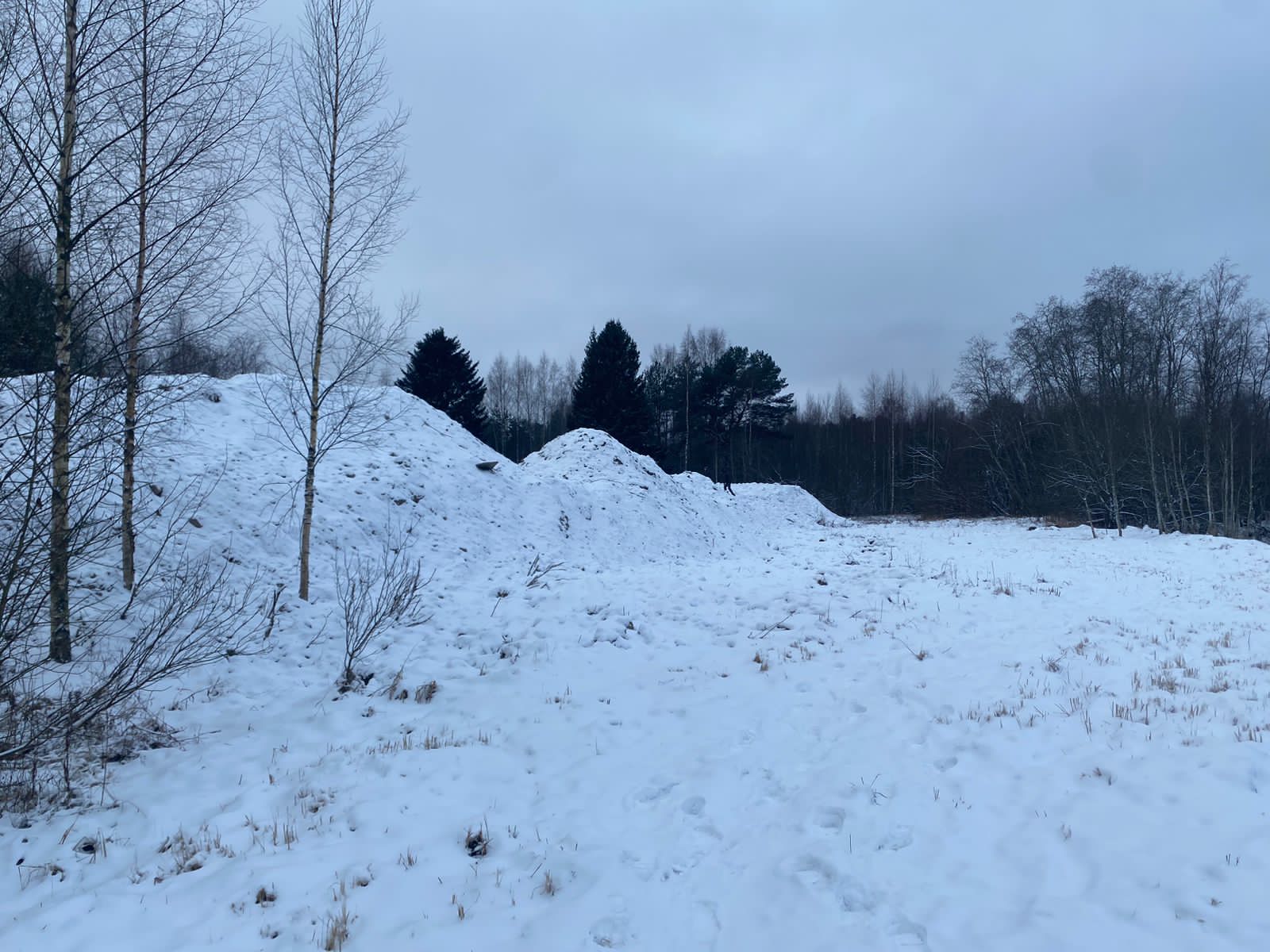 За размещение отходов в водоохранной зоне реки Охта СЗМУ Росприроднадзора требует возместить свыше 447 млн рублей  