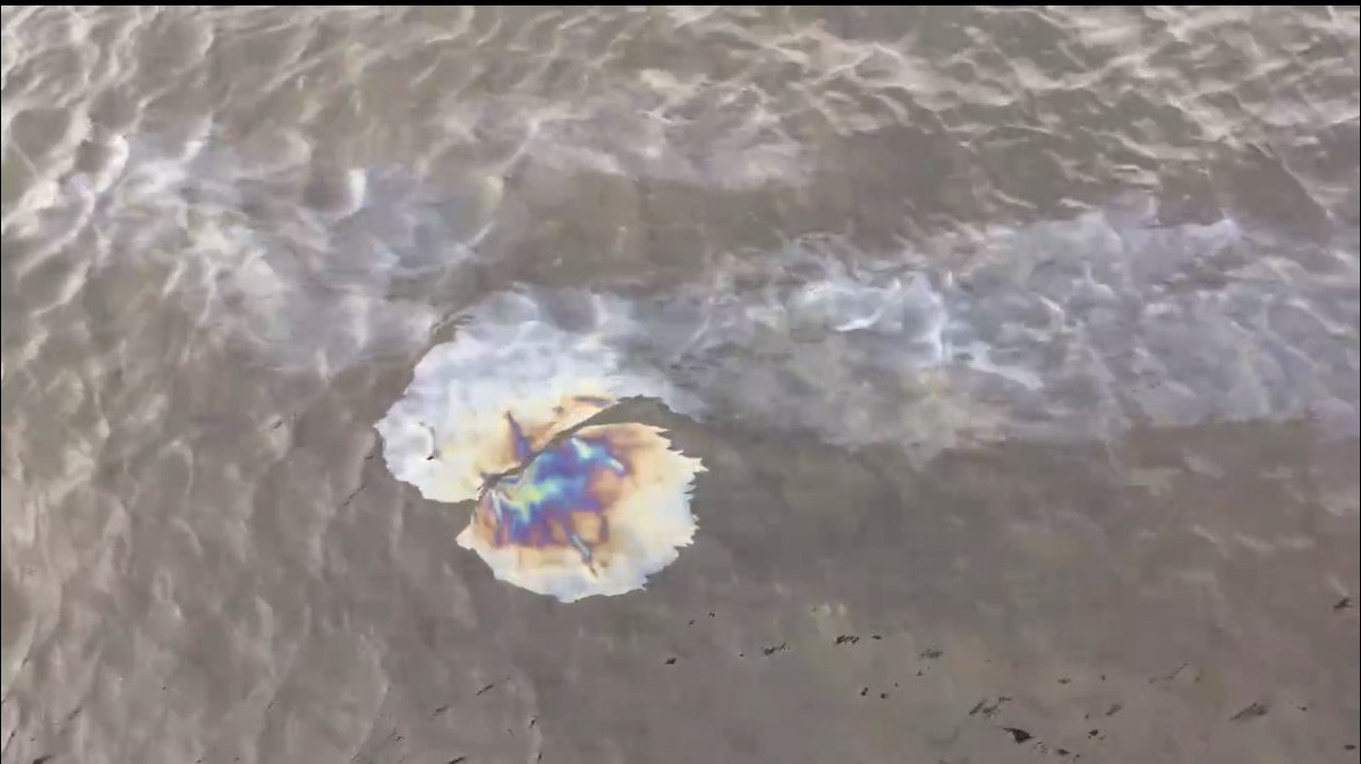 С началом навигации маломерных судов возрастают риски загрязнения водных объектов