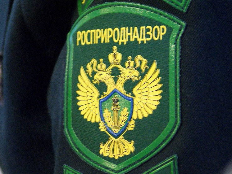 Прием граждан в приемной Президента Российской Федерации в Северо-Кавказском федеральном округе