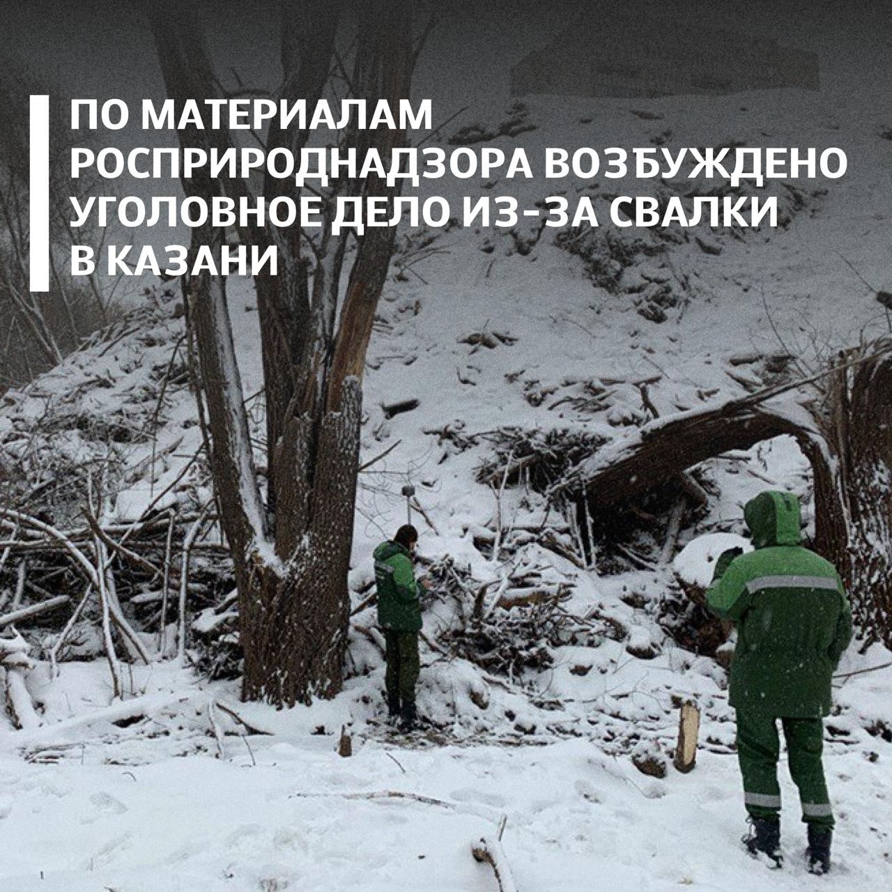 В Казани возбуждено уголовное дело о нарушении правил обращения экологически опасных веществ и отходов. Основанием стали материалы Волжско-Камского межрегионального управления Росприроднадзора