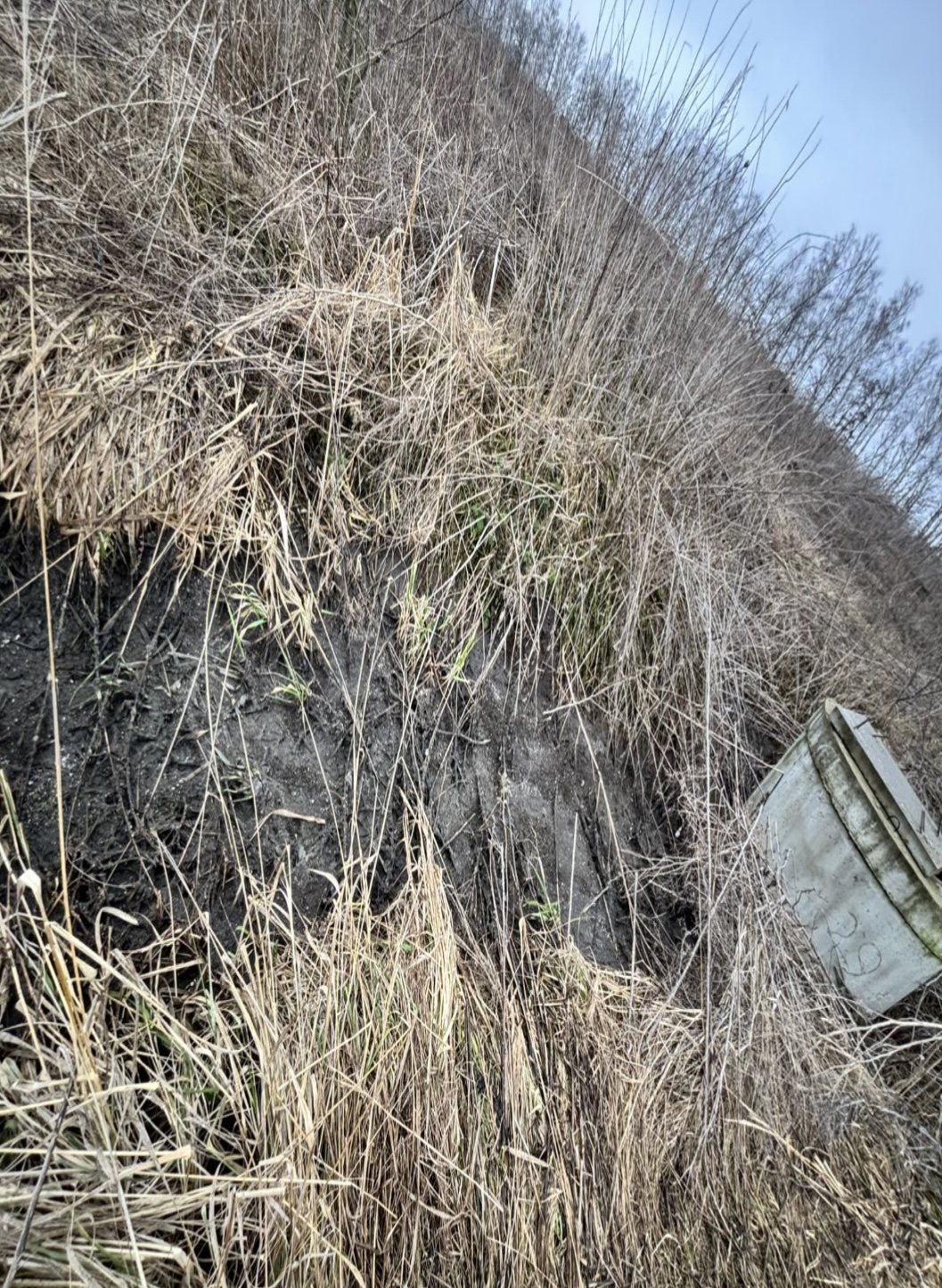В ходе выездного обследования водоохранной зоны р. Усть-Рыбницы зафиксированы нарушения