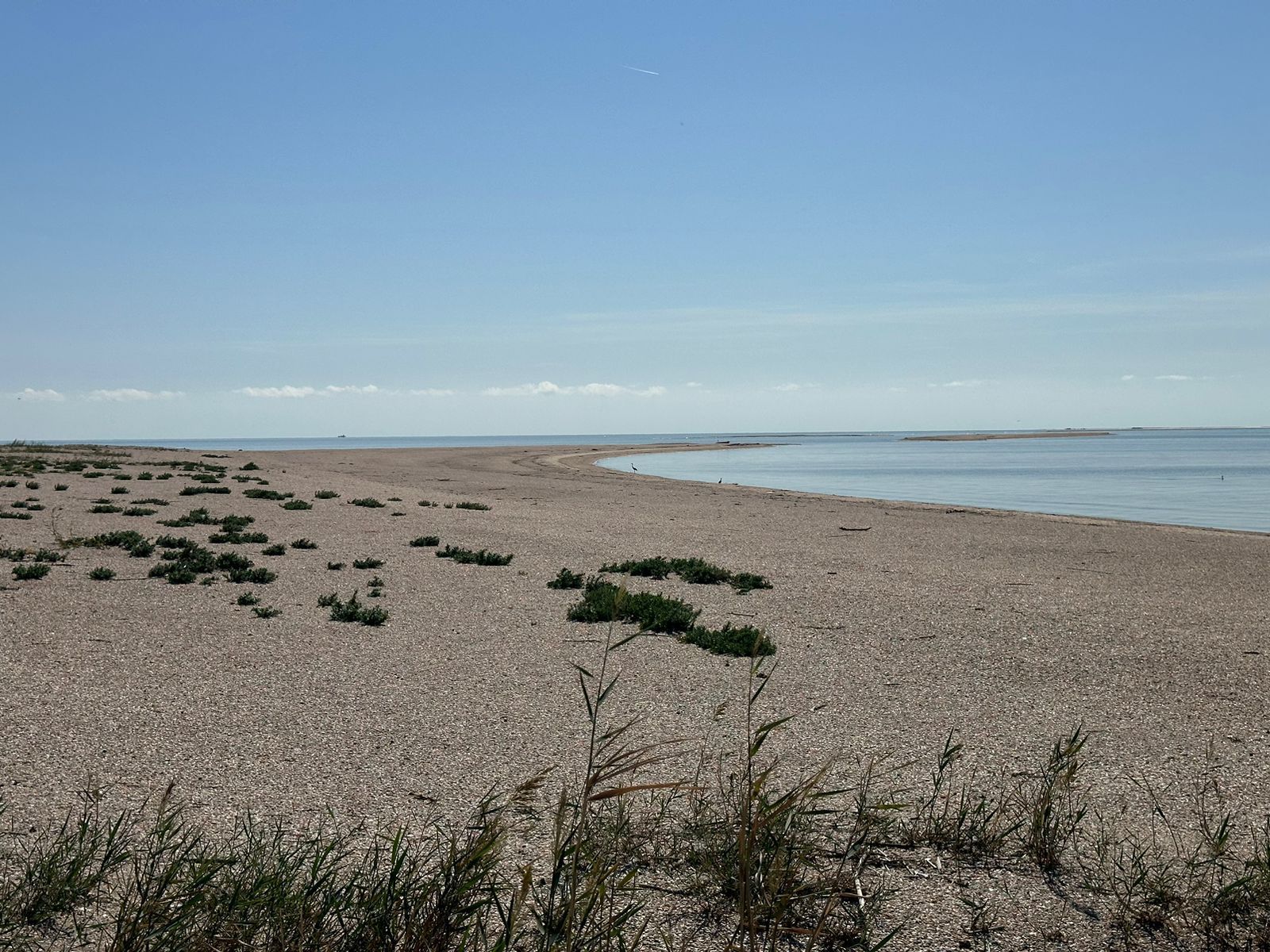 Сотрудниками Росприроднадзора проведён очередной мониторинг Памятника природы федерального значения - Остров Малый Жемчужный