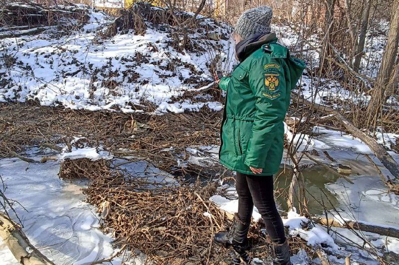 Росприроднадзор проверил информацию о сбросе канализационных вод на почву в селе Сновицы Владимирской области