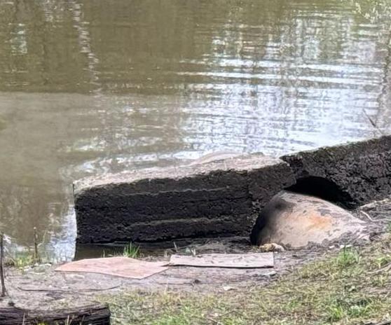 В Славянку сброшены стоки, содержащие жиры