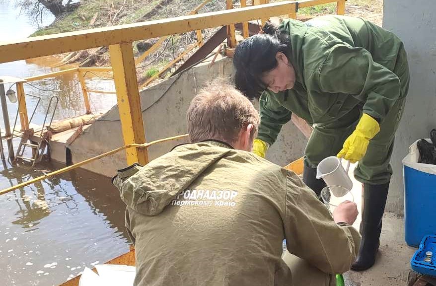 ООО «СТОК» предъявлен ущерб за причинение вреда Камскому водохранилищу