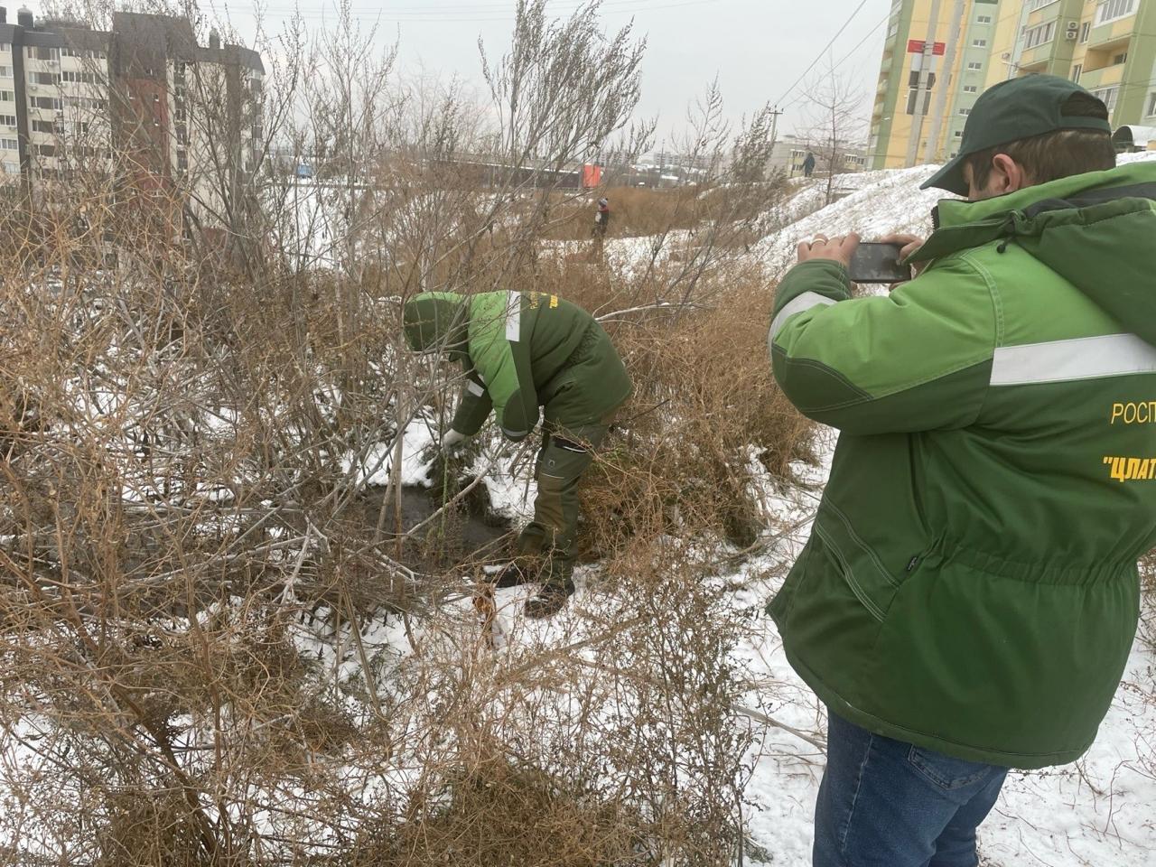 Суд поддержал требования Росприроднадзора о возмещении вреда почвам, в размере 170 127 рублей