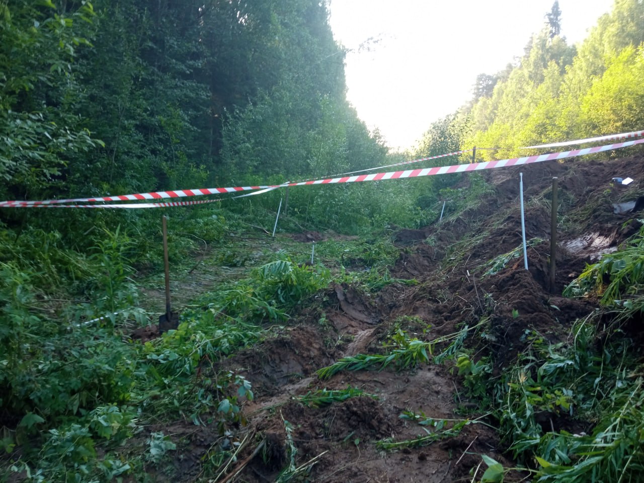 Росприроднадзор добивается возмещения ущерба после разлива топлива в Кировской области