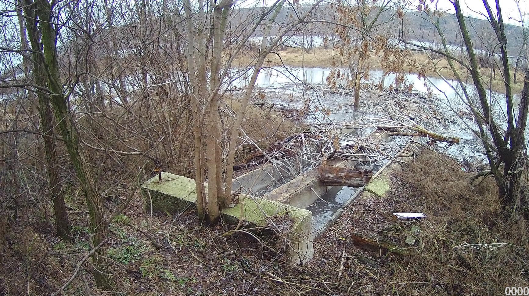 В результате проверки объекта негативного воздействия на окружающую среду, эксплуатируемого МКП «Водосток Спасского муниципального района», выявлено 32 нарушения