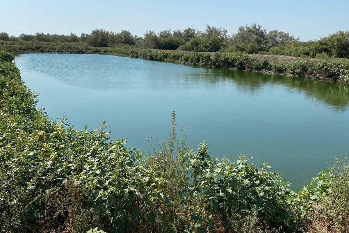 Иск Росприроднадзора о возмещении вреда, причиненного почве на территории Приволжского района Астраханской области, на сумму более 6 млн рублей удовлетворен в полном объеме 