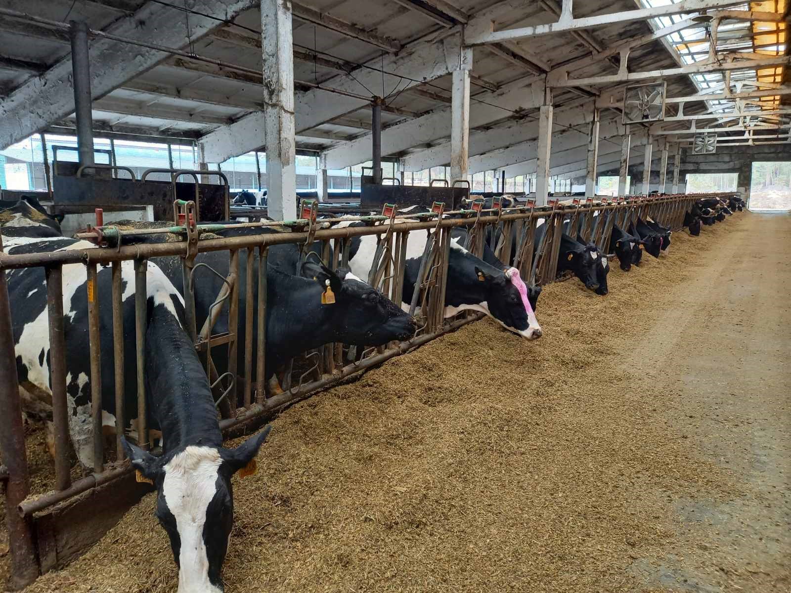В Белгородской области Росприроднадзор выявил нарушения требований в области обращения с отходами на ООО «Русагро-Молоко»