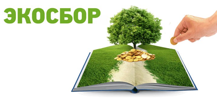 Росприроднадзор оштрафовал ООО «Пензапромстекло» на 250 тысяч рублей