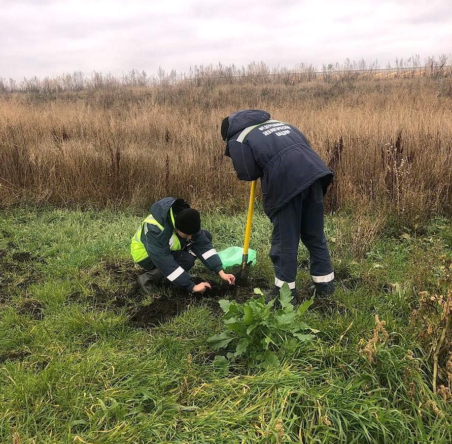 Центрально-Черноземное управление Росприроднадзора по результатам внеплановой проверки ООО «Овощи Черноземья» вновь выявило нарушение природоохранного законодательства 