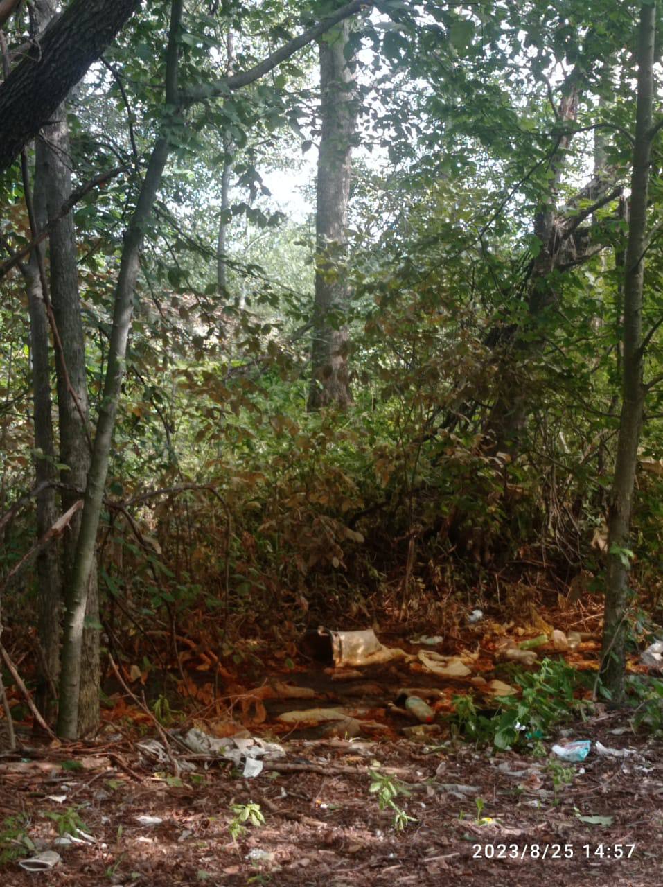 25 августа 2023 года на территории дер. Песчанка  Вяземского район на 199 км трассы М1 злоумышленники нанесли вред почве