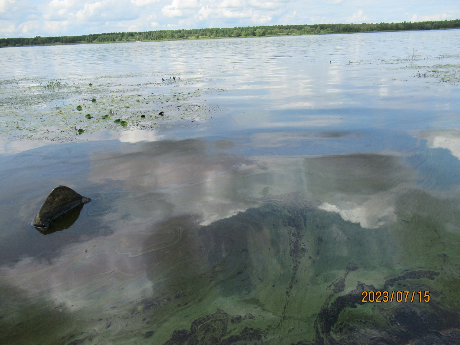 Инспекторы Росприроднадзора выявили загрязнение акватории р. Волга в с. Сопелки Ярославского района.