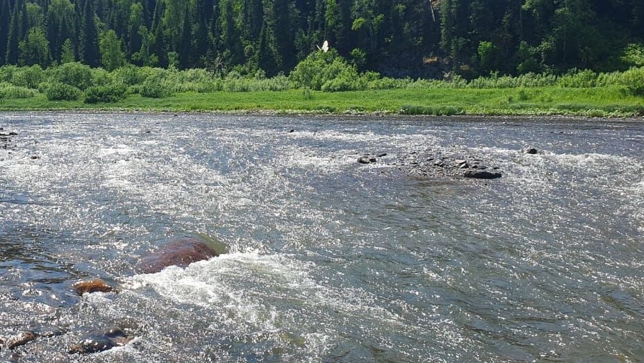 По результатам проверки Росприроднадзора Шерегешской шахты филиала «Евразруда - филиал АО ЕВРАЗ ЗСМК» выявлено нанесение вреда водному объекту.