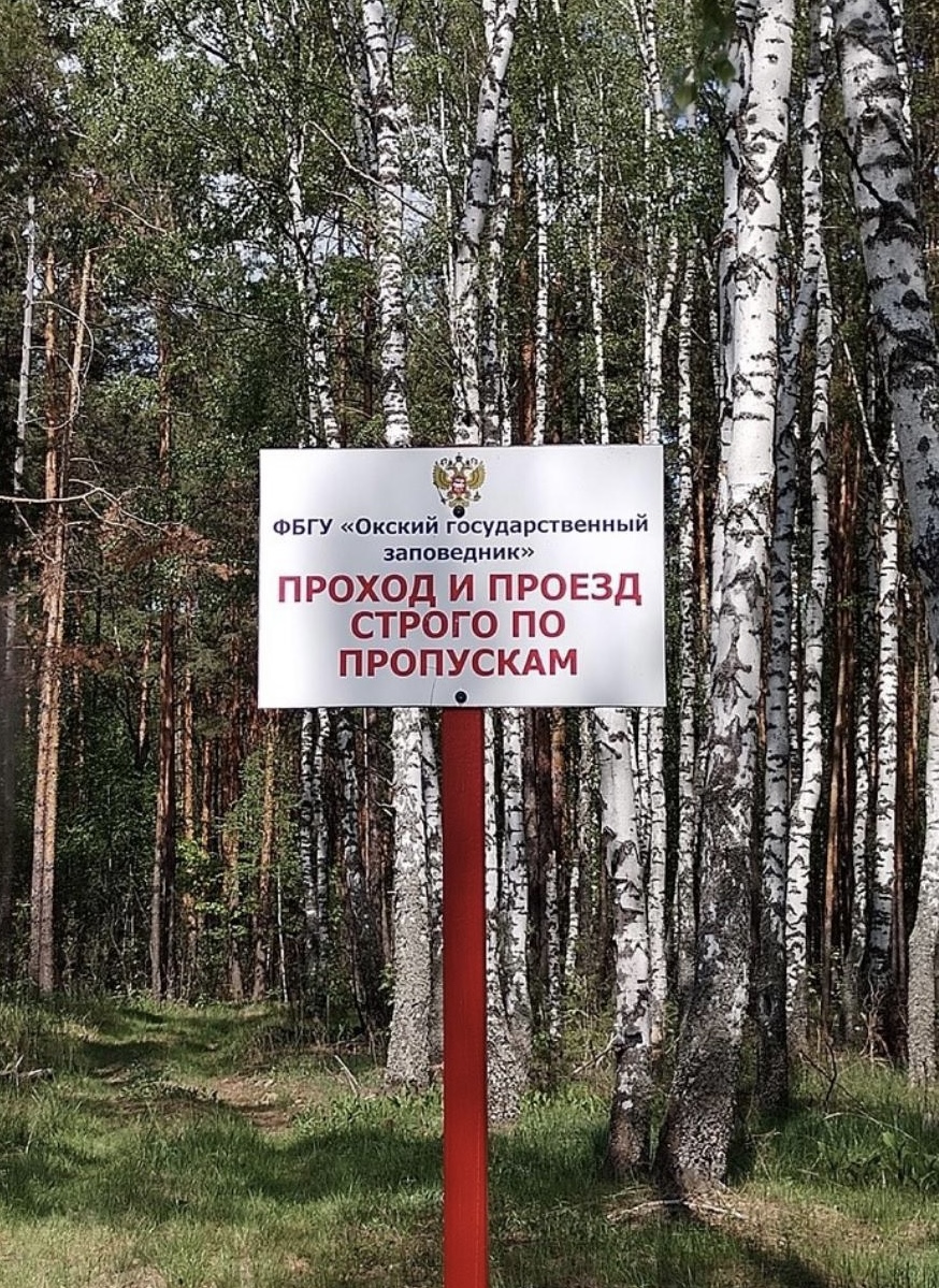 По итогам проверки ФГБУ «Окский государственный природный биосферный заповедник» не готово к прохождению пожароопасного периода 2023 года
