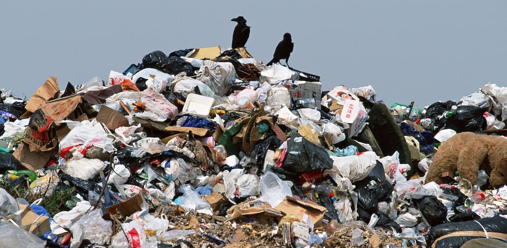 Свалку в Саратове должна устранить Администрация города