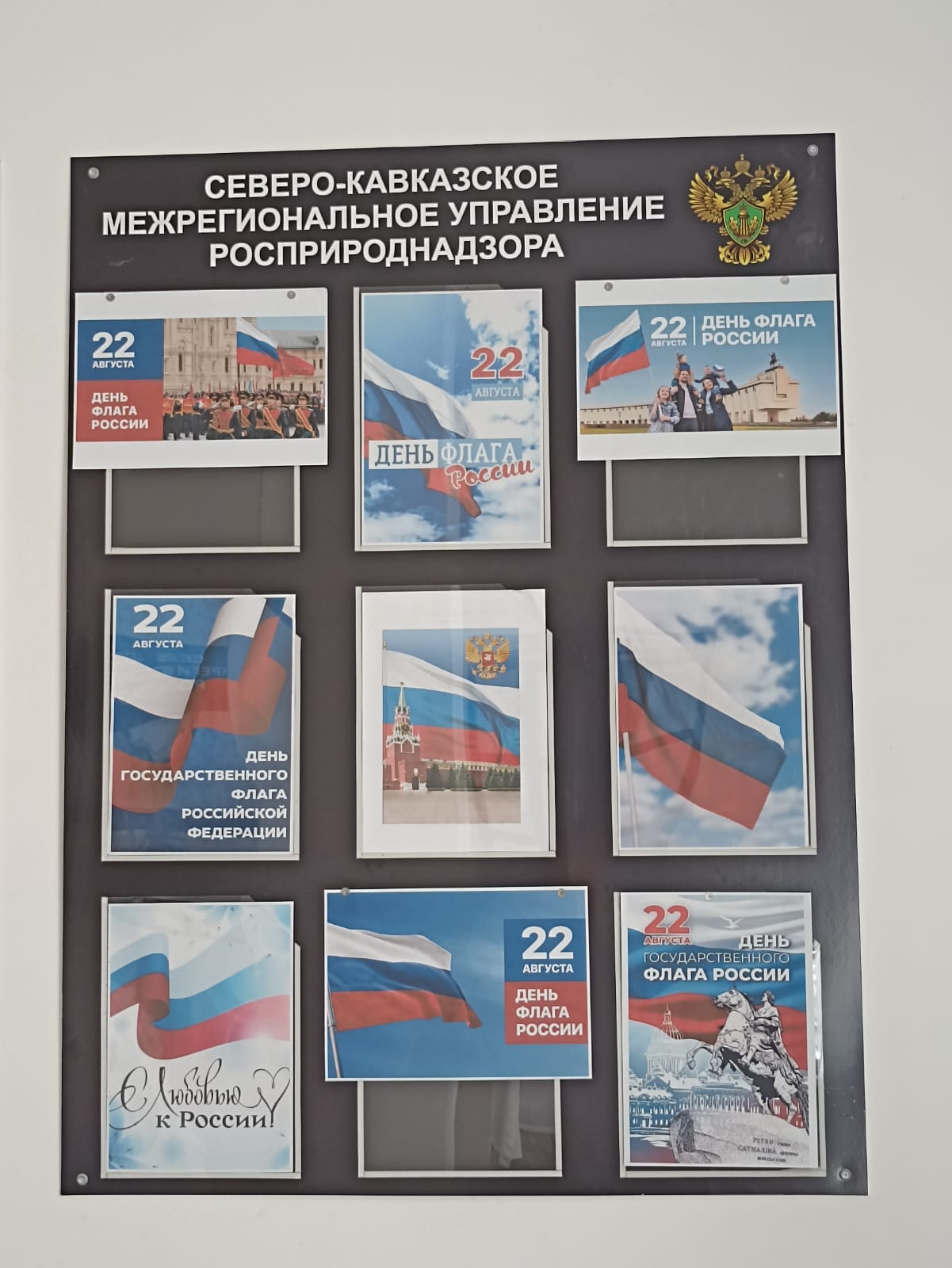 Сотрудники Северо-Кавказского межрегионального управления Росприроднадзора провели мероприятия в честь празднования Дня государственного флага Российской Федерации