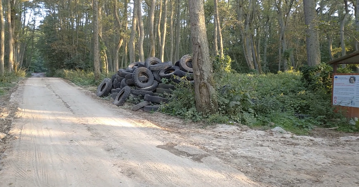 За складирование в водоохраной зоне Балтийского моря автомобильных покрышек внесено предостережение 