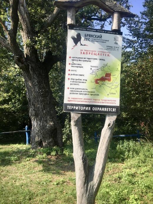 Проведено выездное обследование территории государственного природного биосферного заповедника «Брянский лес»