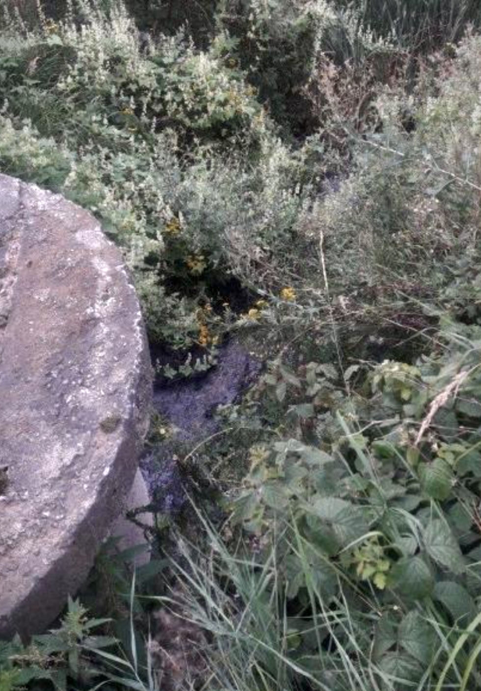 В ходе выездного обследования и анализа проб почвы с земельного участка вблизи поймы реки Листвянка в селе Александрово Рязанской области установлены нарушения