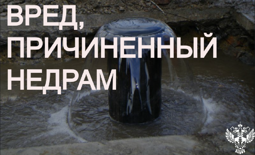 Арбитражный суд Свердловской области поддержал требования Росприроднадзора о возмещении вреда, причиненного недрам