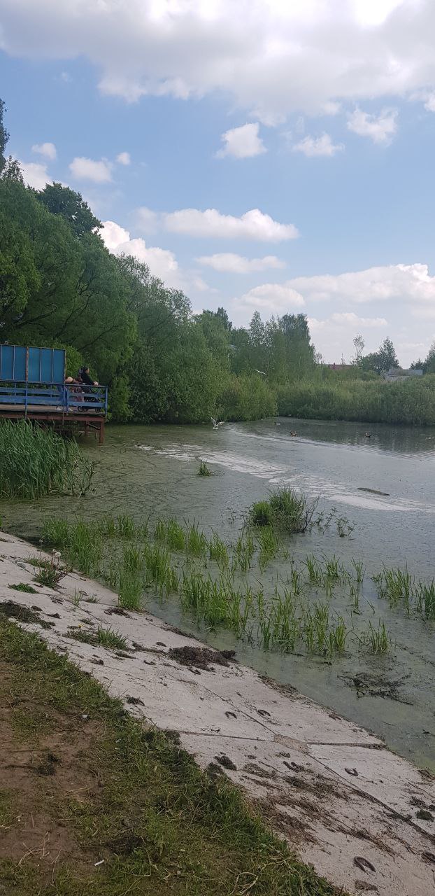 Инспекторы Росприроднадзора обнаружили навалы грунта на ООПТ «озеро Киово»