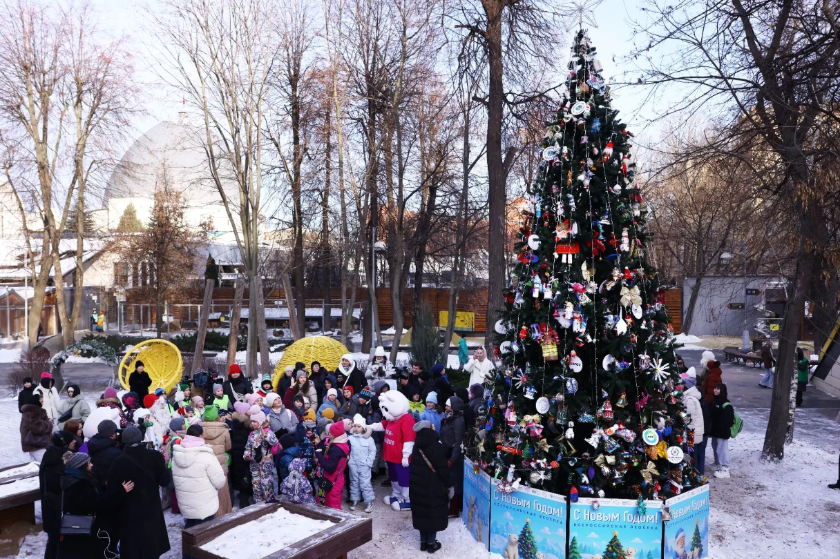 В Москве   открыли Всероссийскую экологическую елку