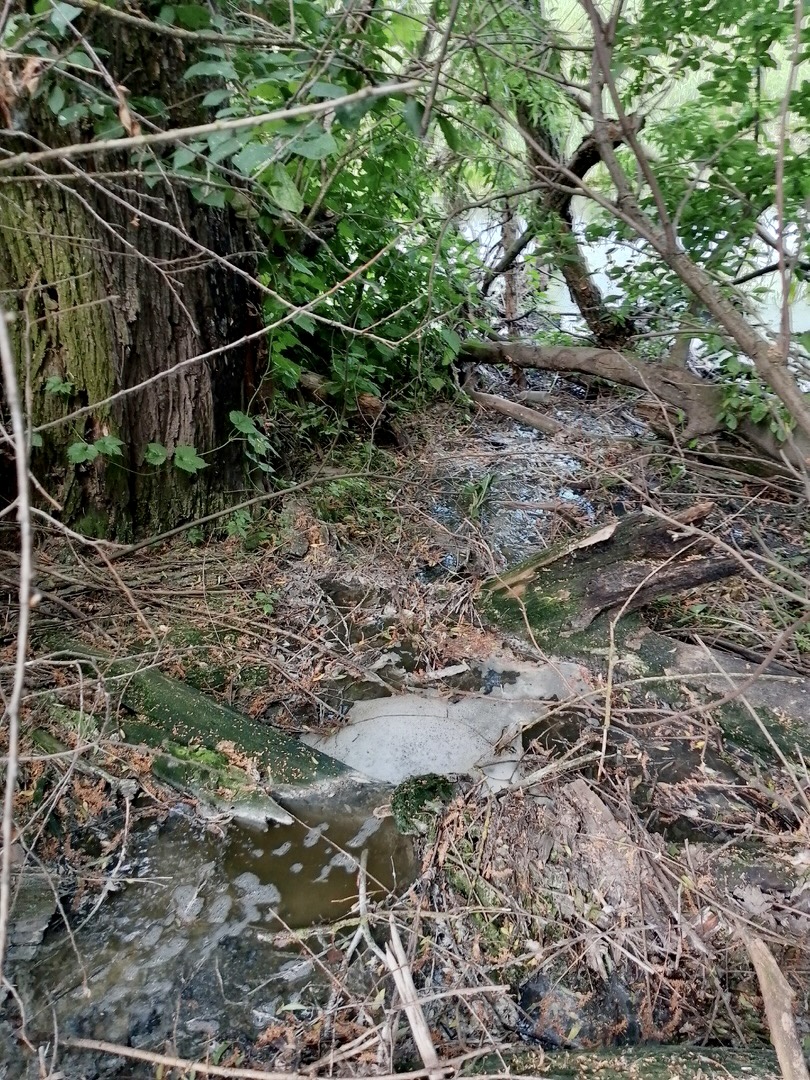 В результате ряда выездных обследований выявлен факт причинения вреда ручью Жрака Захаровского района Рязанской области в результате сброса неочищенных сточных вод