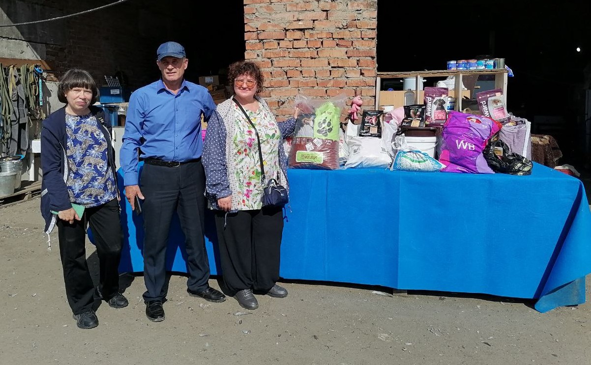 16 августа 2025 года – Всемирный день бездомных животных