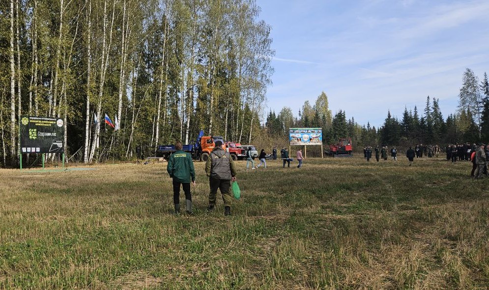 В Кировской области сотрудники Росприроднадзора приняли участие в посадке деревьев