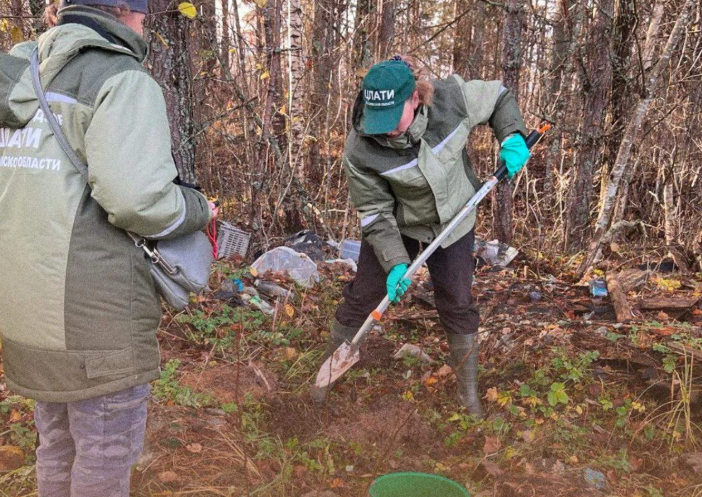 Росприроднадзор через суд требует возместить более 2 млн рублей за нанесенный вред почвам в Псковской области