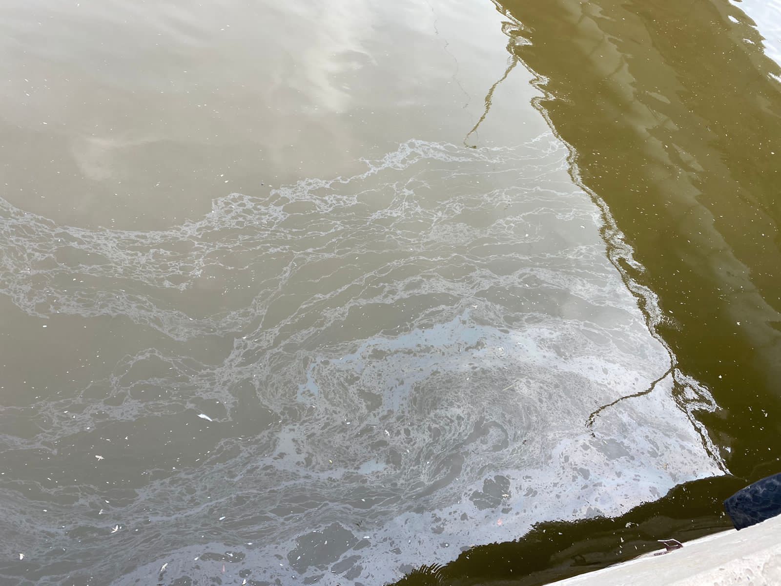 Росприроднадзор принял оперативные меры по информации о загрязнении водного объекта