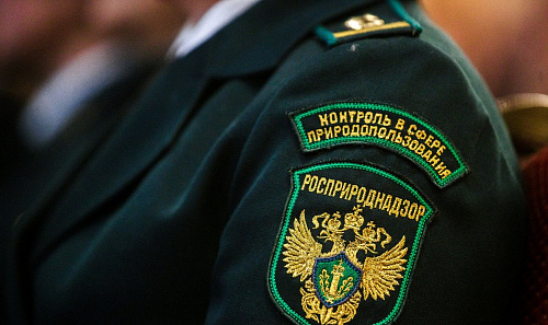 Инспекторы Росприроднадзора провели выездные обследования на территории города Магнитогорска