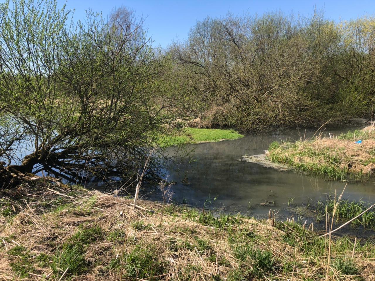 Ущерб реке Ижора в Ленинградской области составил 41,5 млн рублей