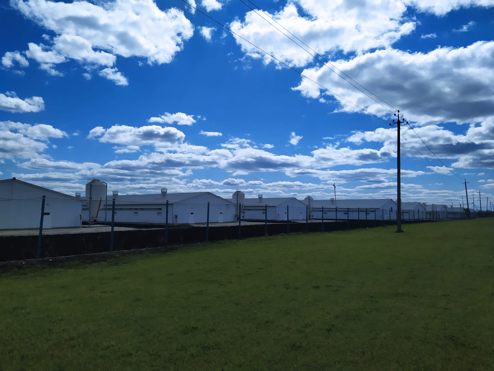 ООО «Рассказовский свиноводческий комплекс» (Тамбовская область) отказано в установлении нормативов ПДВ загрязняющих веществ в атмосферный воздух