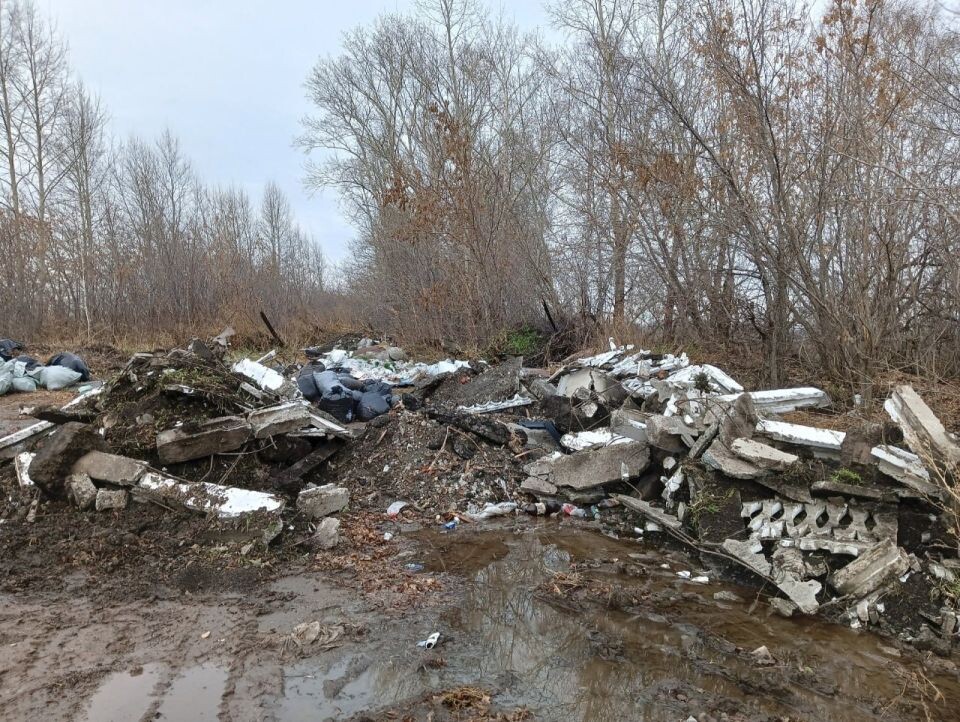 Суд поддержал исковые требования Южно-Сибирского межрегионального управления Росприроднадзора в размере 11,6 миллионов рублей к администрации Крутихинского района Алтайского края.