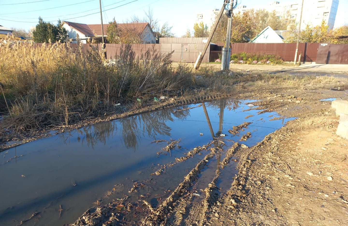 Суд поддержал требования Росприроднадзора о возмещении вреда почвам в размере 876 145 рублей