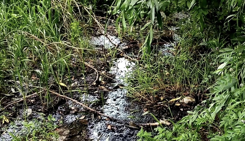 В Астраханской области МУП «Ахтубинск -Водоканал» привлечён к административной ответственности за вред, причинённый почвам и водному объекту р. Ахтуба