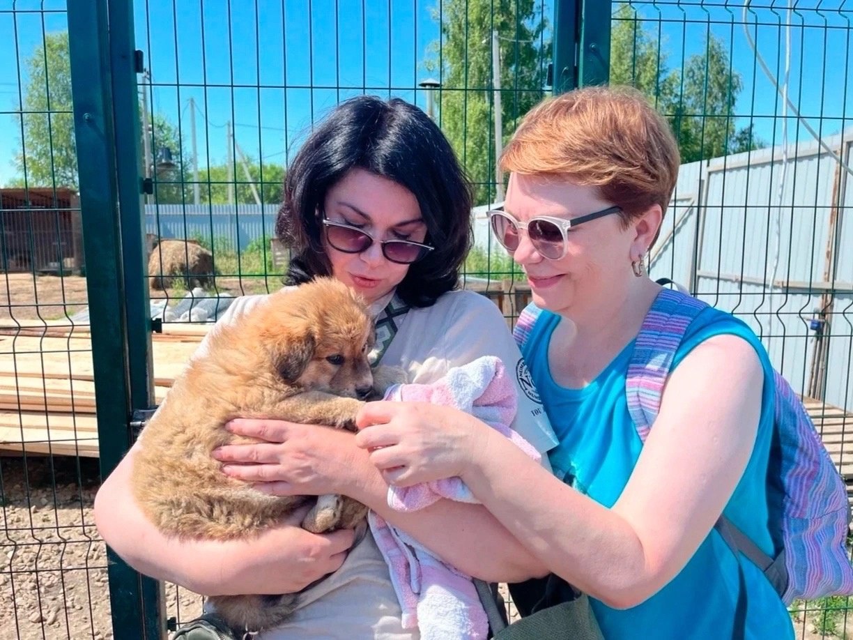 Сотрудники Службы поддержали приюты бездомных животных