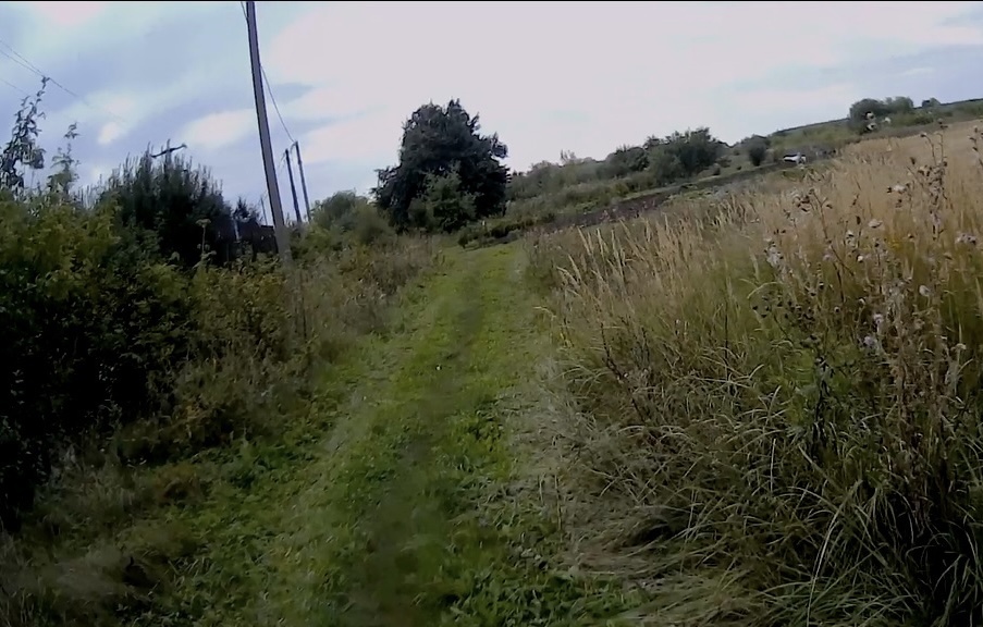 В результате выездного обследования территории, прилегающей к хлебозаводу и колбасному цеху г. Малоархангельск Орловской области, нарушений не обнаружено