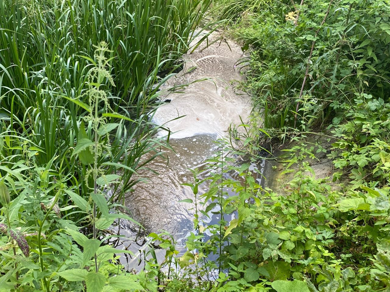 В Воронежской области Центрально-Черноземным управлением Росприроднадзора установлен факт сброса загрязненных стоков в р. Полубянка и р. Тихая сосна