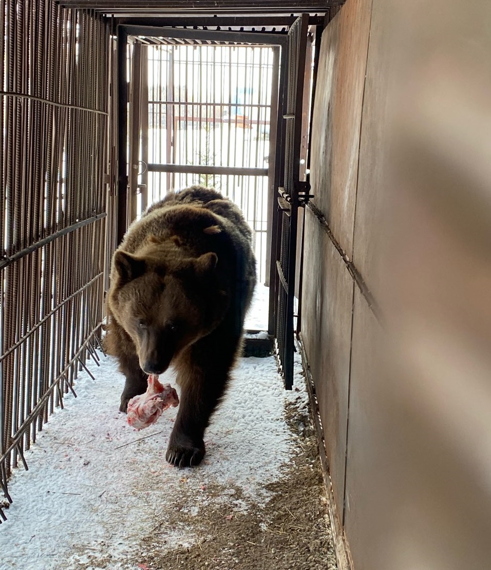 Росприроднадзор проводит профилактические визиты на объекты содержания животных