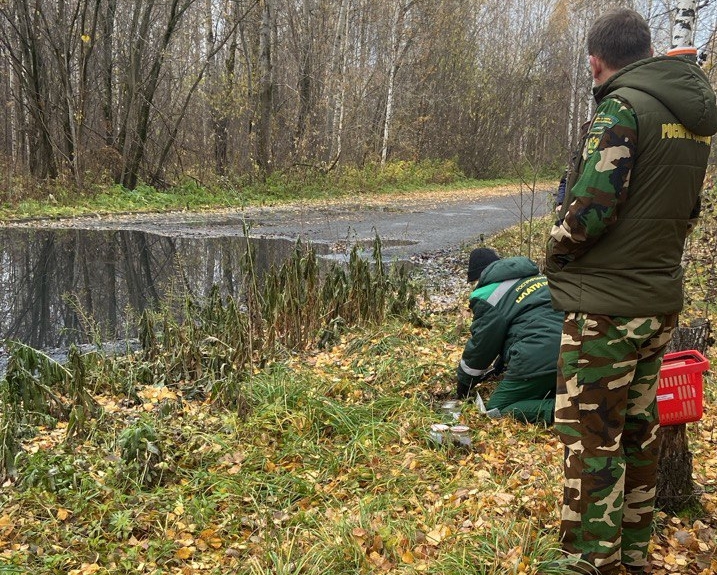 Разлив нефтепродуктов обнаружен в Краснокамском городском округе Пермского края