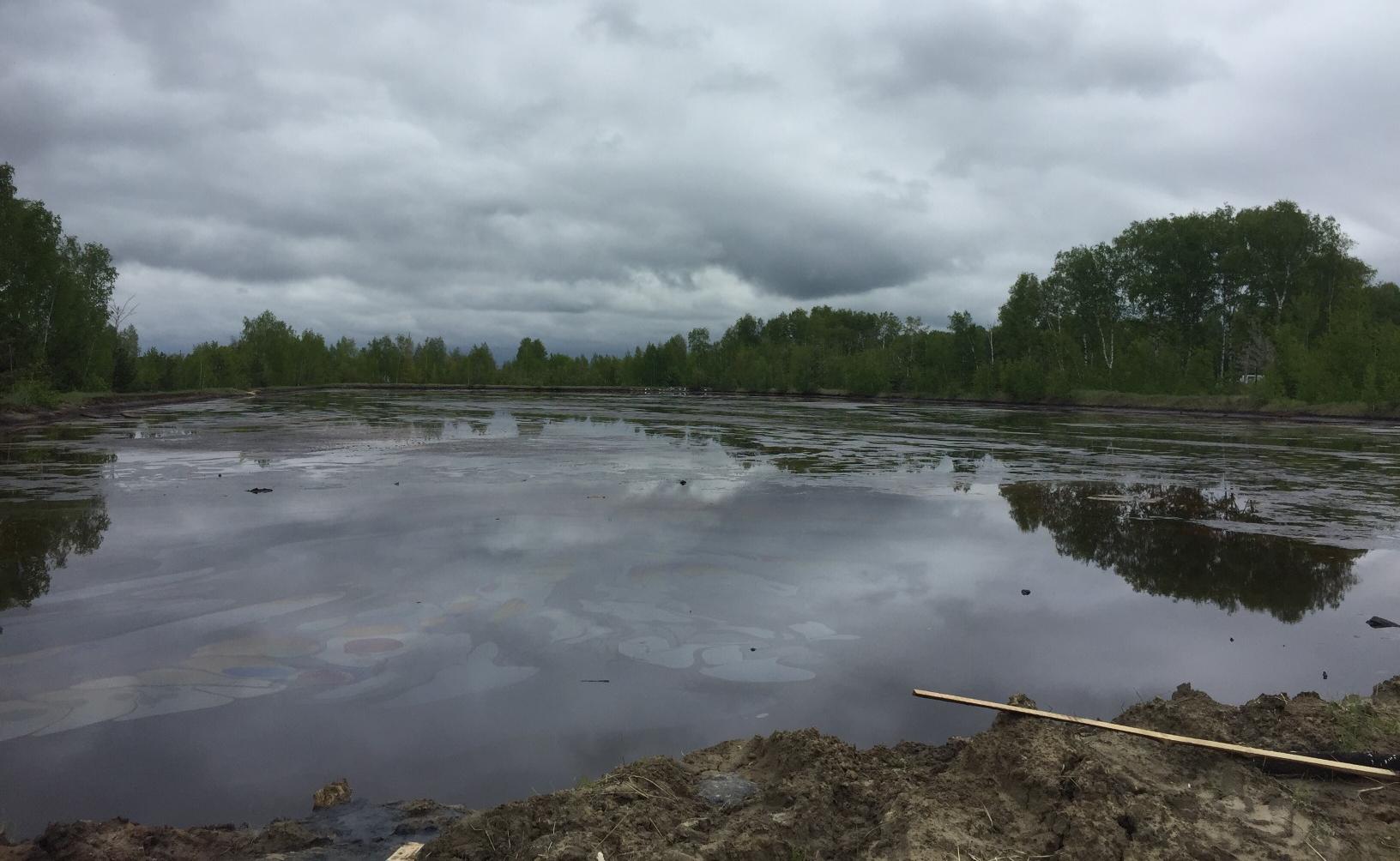 Администрация Нижнего Новгорода привлечена к ответственности за неустранение экологических нарушений 