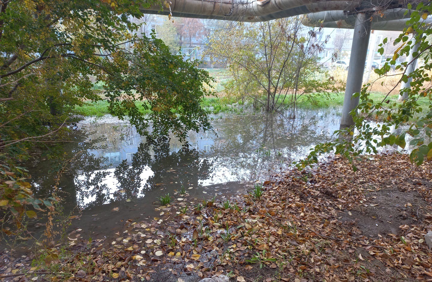 Суд поддержал требования Росприронадзора о возмещении вреда почвам, в размере 1,3 млн. рублей.